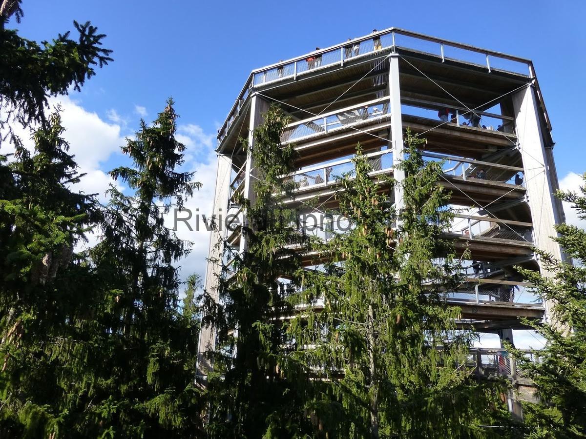 Riviera Lipno 415 Appartement Lipno nad Vltavou Buitenkant foto